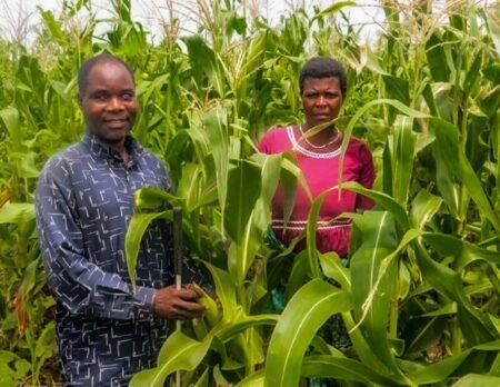 Malawi’s only known blind farmer making huge profits - FarmingFarmersFarms