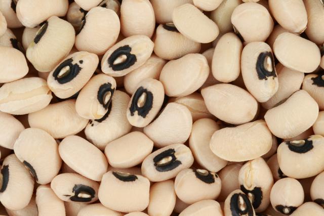 Farmers gets seed input, others Cowpea seeds Cowpea plant Cowpea in nigeria Family of cowpea Cowpea botanical Name Cowpea in english Cowpea scientific name and family Cowpea origin