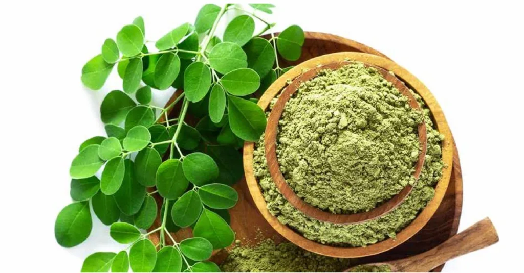 moringa tree