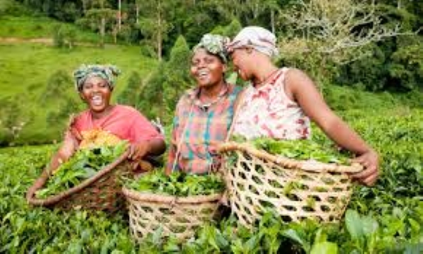 We know challenges facing us - Women farmers