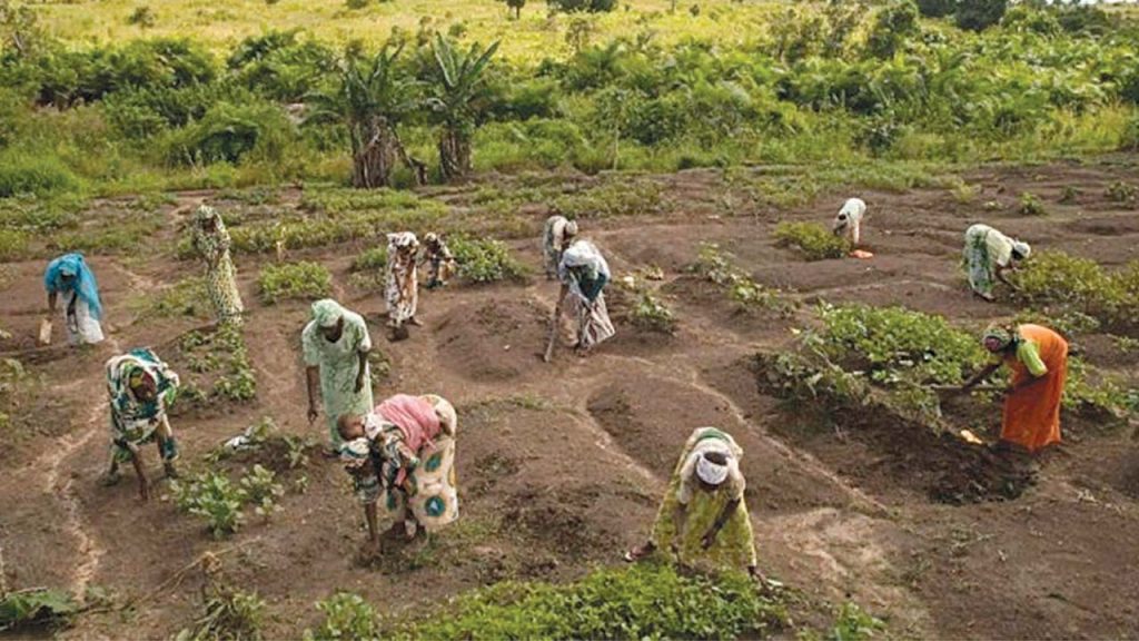 We know challenges facing us - Women farmers