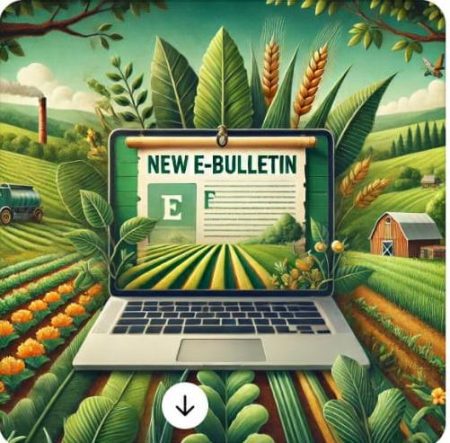 Introducing FFF's Monthly E-Bulletin: Stay ahead in Agriculture