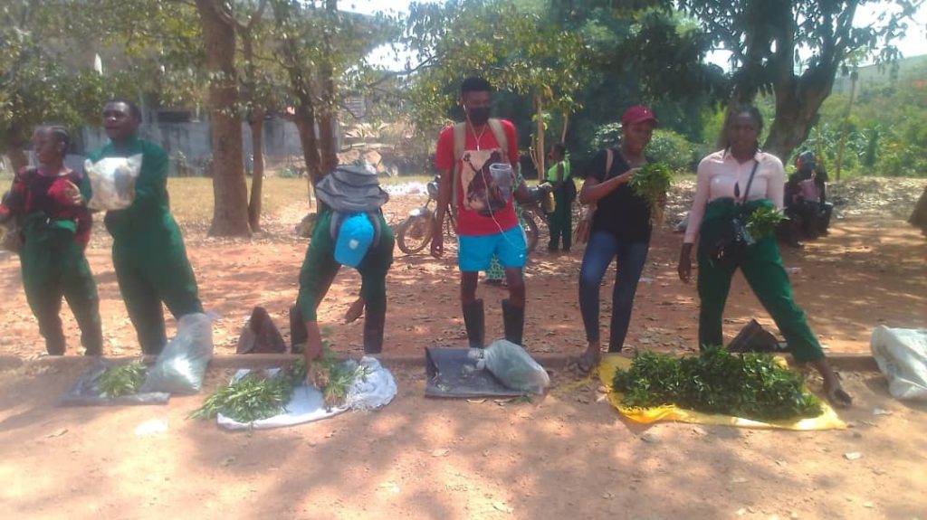 Excitement, as student farmers sell produce, students, What is the role of youth in agricultural production? What are the challenges facing youth in agriculture? What is the youth agricultural revolution in Nigeria? What are the objectives of youth organizations in agriculture?