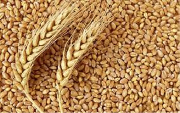 Takeaways from wheat summit