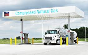 Biochemical impact of CNG on agric productivity, workers’ health