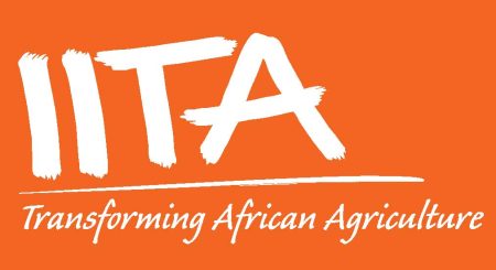 IITA Internship: A golden opportunity for future agricultural leaders