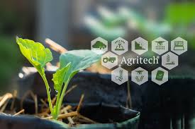 How AI, tech are solving Nigeria’s biggest agric problems