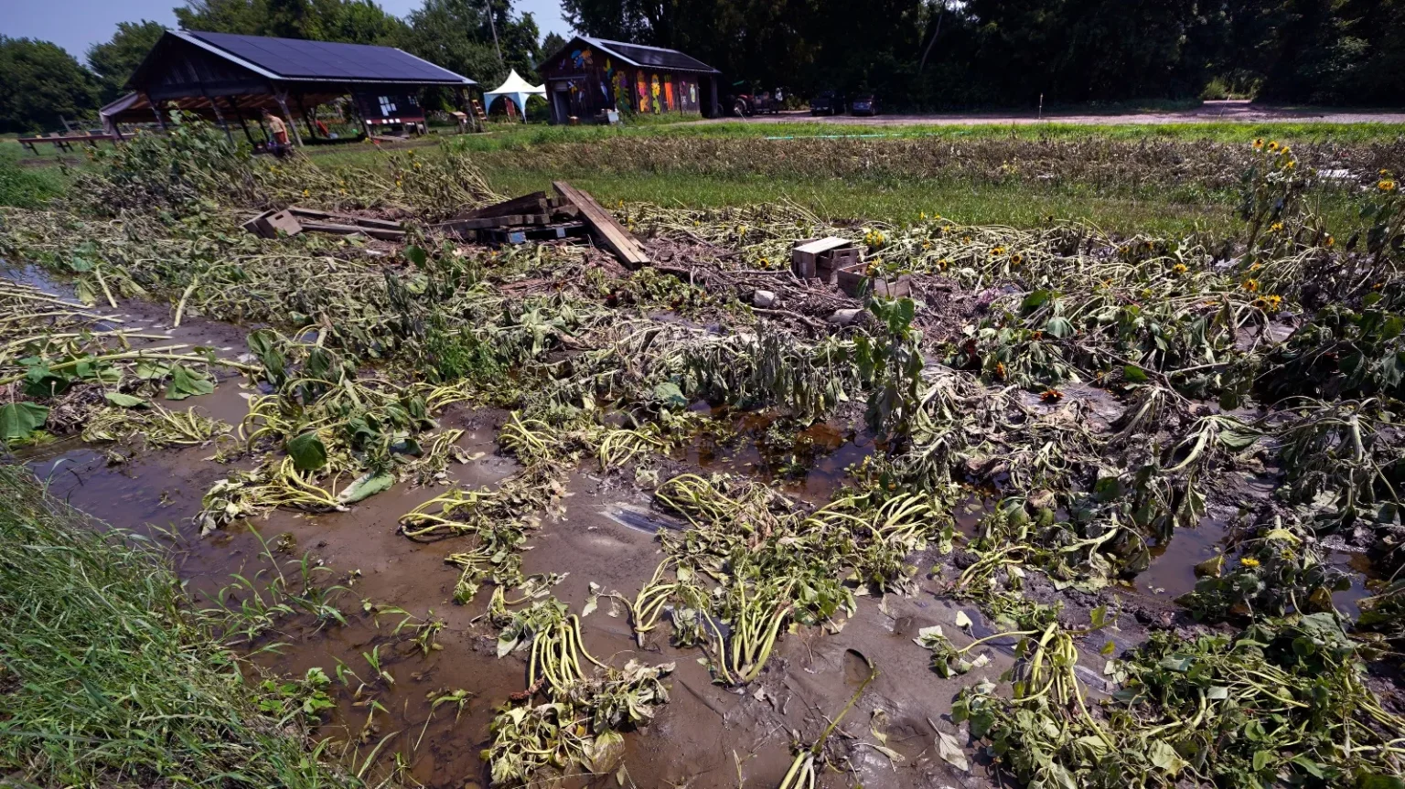 Disasters cost global agriculture US$3.26 trillion over three decades – FAO