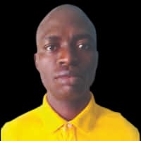 Implementing Green-Kaduna across states, antidote to rising food costs