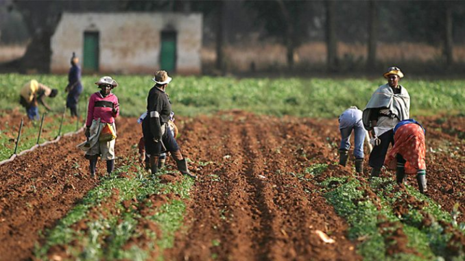 BOA strengthens support for women farmers