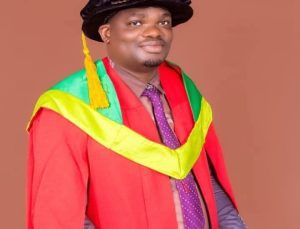 How to maximise yield in cashew farming – Liadi