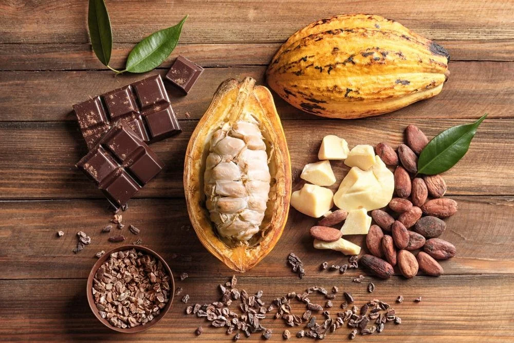 Nigeria’s cocoa exports to US jump to US$142million